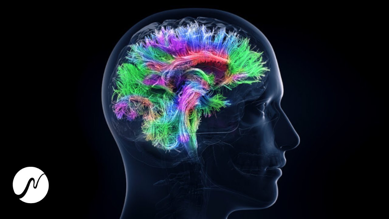 Activar el potencial cerebral al 100% – frecuencia genio – ondas beta (ondas cerebrales)