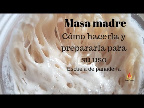 Cómo hacer masa madre natural en 7 días/ Escuela de panadería #masamadre #cómohacermasamadre