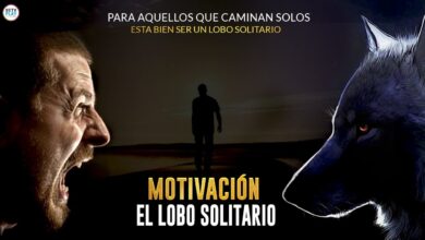 Motivación Para Aquellos Que CAMINAN SOLOS | Está Bien Ser Un LOBO SOLITARIO