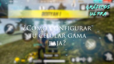 CÓMO JUGAR con los gráficos ULTRA – ESTÁNDAR EN FREE FIRE GAMA Baja * sin APLICACIÓN*