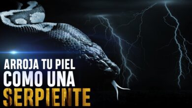 Arroja Tu Piel COMO UNA SERPIENTE | MOTIVACIÓN 2019