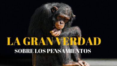 LA GRAN VERDAD sobre LOS PENSAMIENTOS-Conny Méndez
