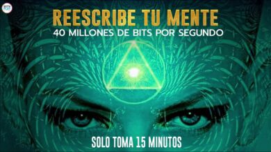 Aprende A Reescribir Tu Mente “TOMA 15 MINUTOS” | Dr Bruce Lipton