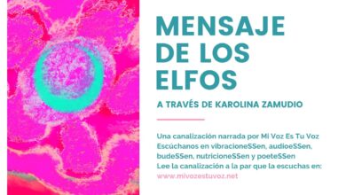 MENSAJE DE LOS ELFOS a través de Karolina Zamudio