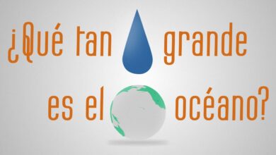 ¿Qué tan grande es el océano? – Scott Gass