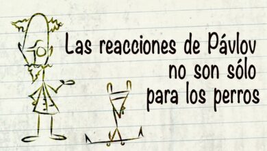 Las reacciones de Pávlov no son sólo para los perros – Benjamin N. Witts