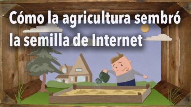 De cómo la agricultura sembró semillas en Internet – Patricia Russac