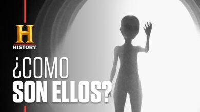 ALIENÍGENAS ANCESTRALES – El aspecto de la criatura