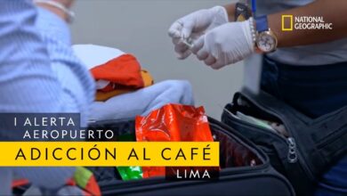 Esta pasajera tiene una adicción muy fuerte al café | Alerta Aeropuerto Lima