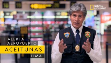 Un cargamento de aceitunas muy sospechoso | Estreno: Alerta Aeropuerto Lima