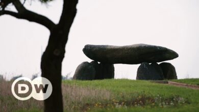 Misterios de la Edad de Piedra (2/2) | DW Documental