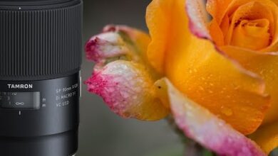 Objetivo Tamron 90mm f2.8 Di VC USD Macro – Review en Español | David López