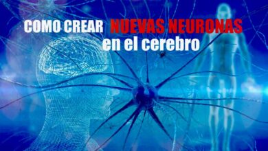 TUS DESEOS SE HARÁN REALIDAD-CÓMO CREAR NUEVAS NEURONAS EN EL CEREBRO-05 William W. Atkinson