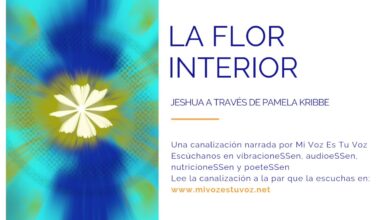 LA FLOR INTERIOR – Jeshua a través de Pamela Kribbe | Canalización