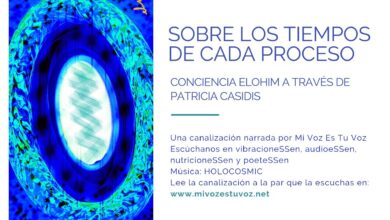 SOBRE LOS TIEMPOS DE CADA PROCESO – Una canalización de la Conciencia Elohim vía Patricia Casidis