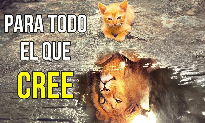 Si Crees Todo Es Posible Si De Verdad Puedes Creer Sucedera Neville Goddard Mostrar Sí puedes creer todo es posible sí puedes creer. si crees todo es posible si de verdad