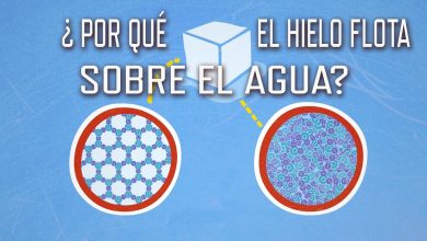 ¿Por qué el hielo flota en el agua? – George Zaidan y Charles Morton