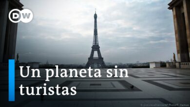 ¿Cuándo regresan los visitantes?