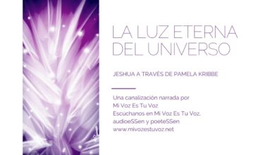 LA LUZ ETERNA DEL UNIVERSO – Jeshua a través de Pamela Kribbe | Canalización