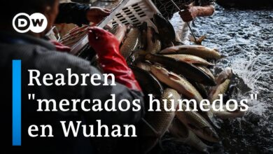 Estupor internacional ante la reapertura de mercados en Wuhan