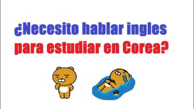 ¿Necesito hablar inglés para estudiar en Corea?