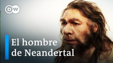 Los neandertales – ¿Nuestros parientes más antiguos? | DW Documental
