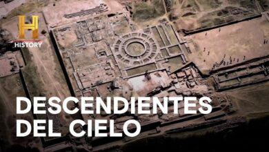 DESCENDIENTES DEL CIELO  – ALIENÍGENAS ANCESTRALES