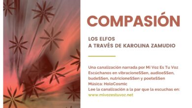 COMPASIÓN | Un mensaje de los elfos a través de Karolina Zamudio