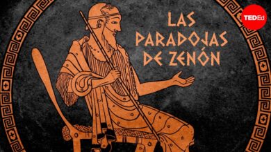 ¿Qué es la paradoja de la dicotomía de Zenón? – Colm Kelleher