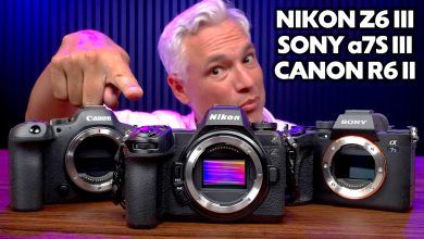 What’s the Best Video Camera? Nikon Z6 III vs Sony a7S III vs Canon R6 II Review