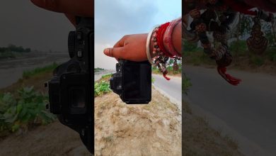 nikon outdoor photography 📸#shorts #trending #photography #ytshort #india