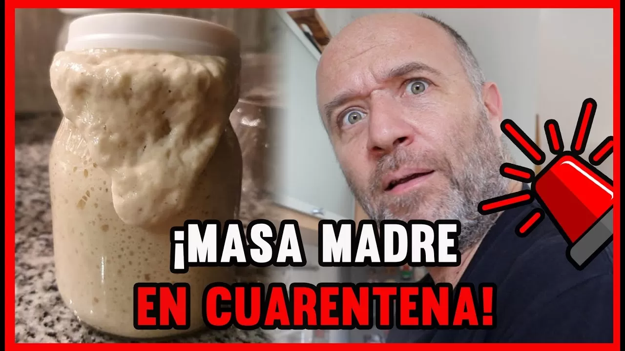 ¿CÓMO HACER MASA MADRE?  | 3 HARINAS DIFERENTES