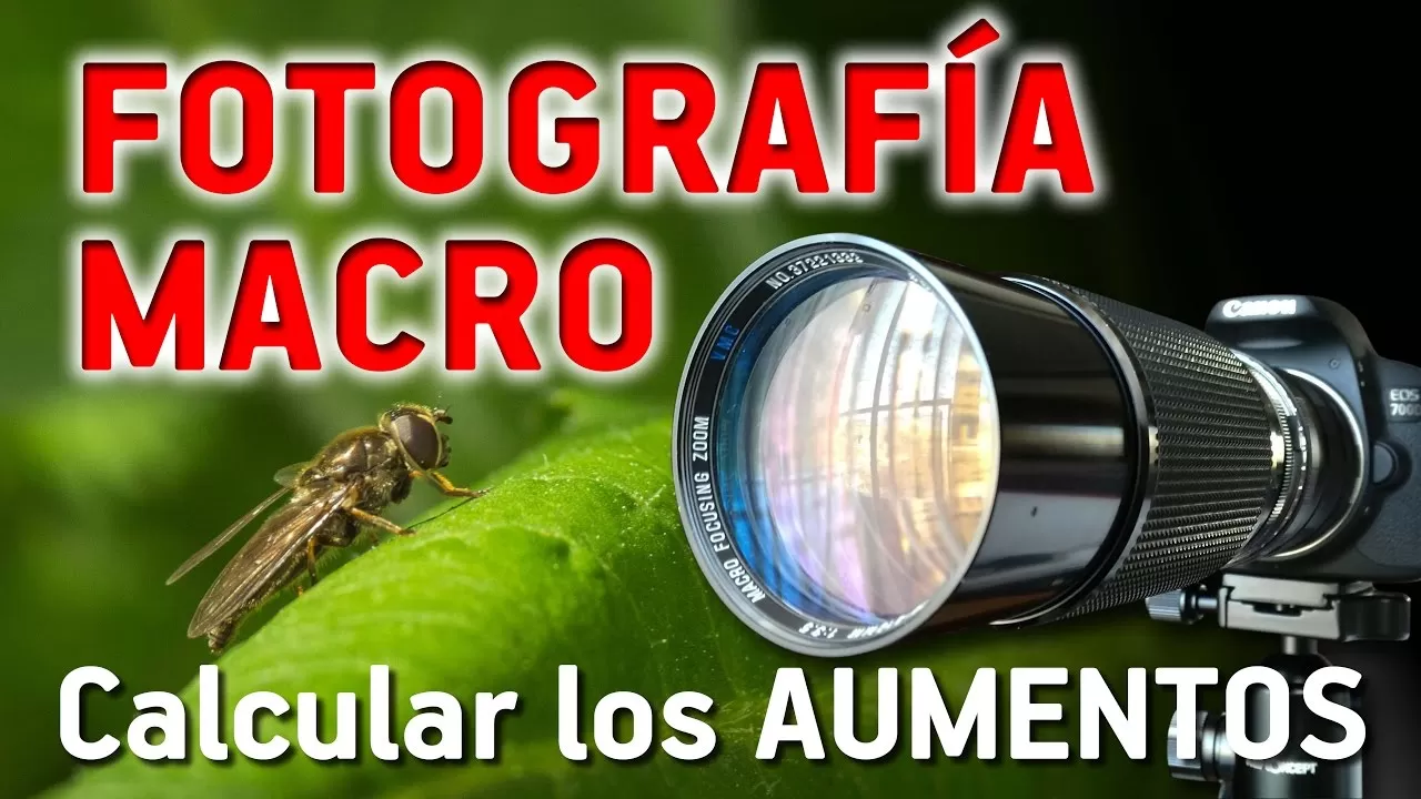 FOTOGRAFÍA MACRO – Calcular los aumentos de nuestros objetivos