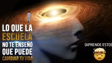 Lo Que Las Escuelas NO PUDIERON ENSEÑARNOS!  | (PODEROSOS SECRETOS MENTALES)