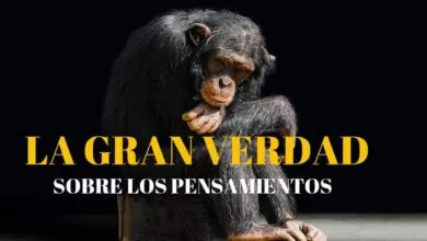LA GRAN VERDAD sobre LOS PENSAMIENTOS-Conny Méndez