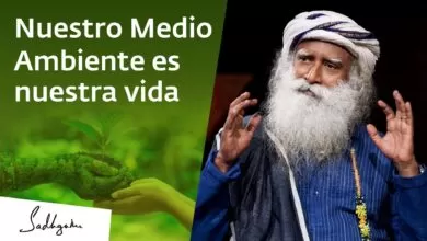 El Medio Ambiente es nuestra vida