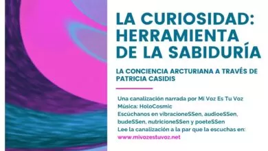 LA CURIOSIDAD: HERRAMIENTA DE LA SABIDURÍA | La Conciencia Arcturiana a través de Patricia Casidis