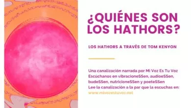 ¿QUIÉNES SON LOS HATHORS?
