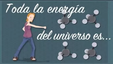 Toda la energía del universo es… – George Zaidan y Charles Morton