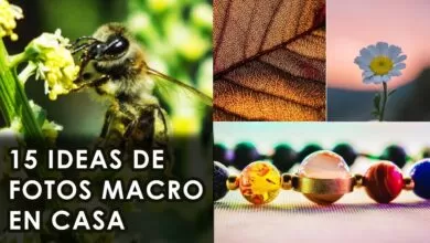 15 IDEAS de FOTOGRAFÍA MACRO EN CASA