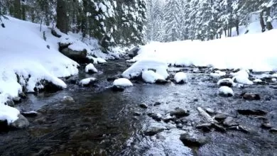 Música relajante con sonidos de agua, música tranquila para piano y música para guitarra