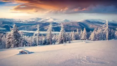 Música relajante para aliviar el estrés, terapia curativa, meditación, sueño, spa