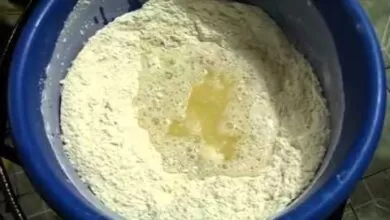 masa para pan casero, su proceso