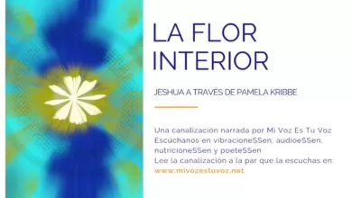 LA FLOR INTERIOR – Jeshua a través de Pamela Kribbe | Canalización