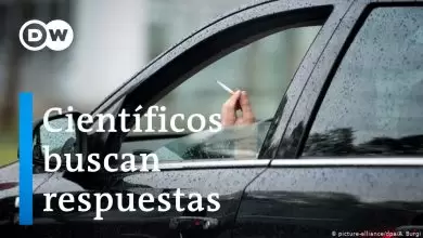 Especial coronavirus: ¿Nicotina como cura?