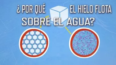 ¿Por qué el hielo flota en el agua? – George Zaidan y Charles Morton
