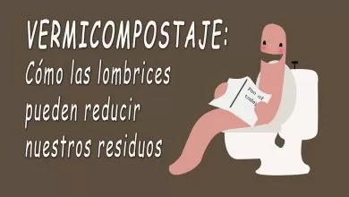 Vermicompostaje: Cómo las lombrices pueden reducir nuestros residuos – Matthew Ross