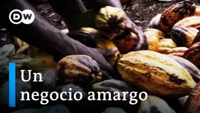 El chocolate – Un negocio amargo | DW Documental