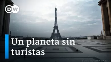 ¿Cuándo regresan los visitantes?