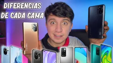 Qué Xiaomi comprar: diferencias gama media, gama baja y gama alta (2021 – 2022)